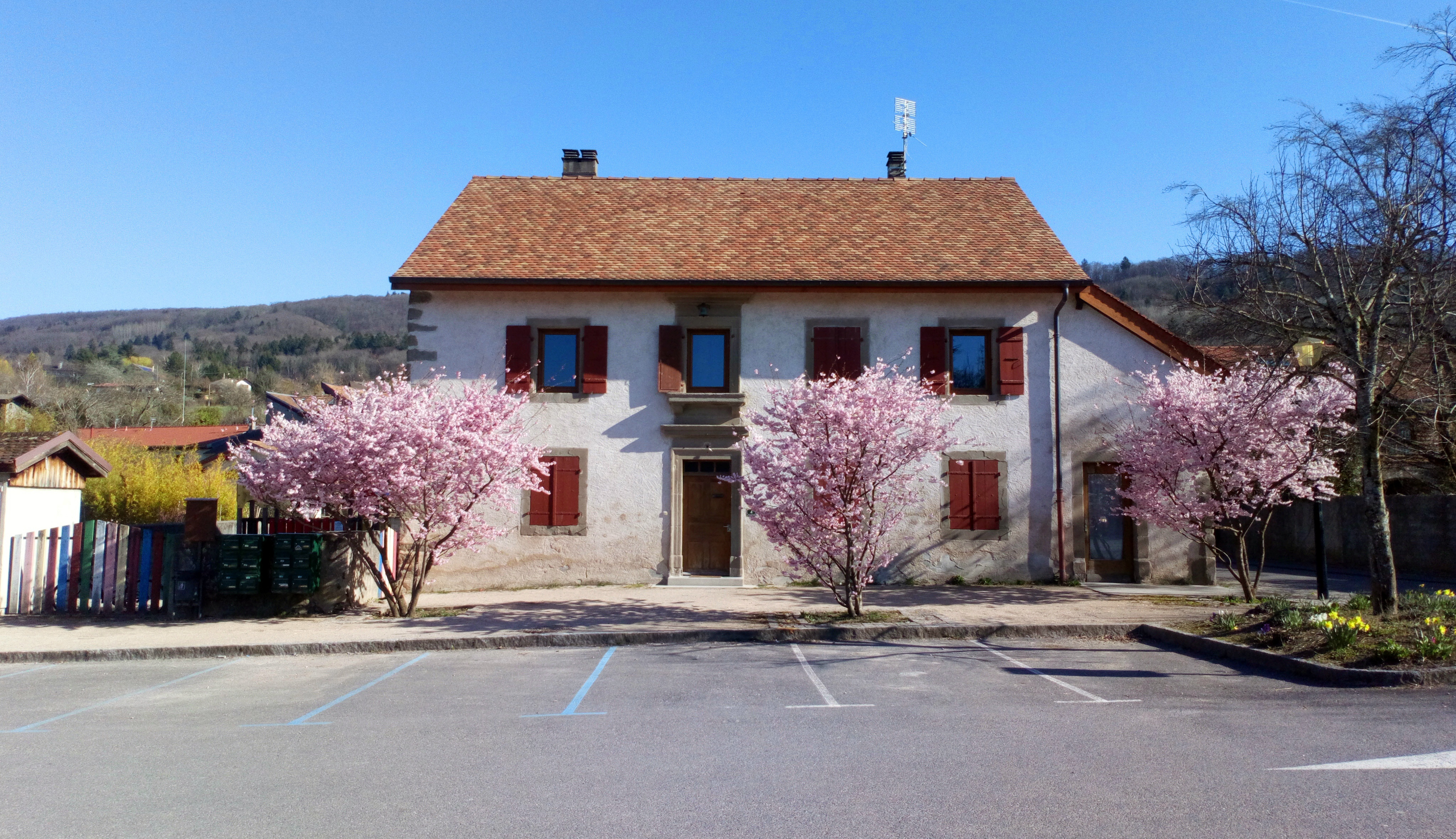 Texte alternatif